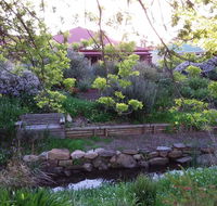 Frog Song at Willunga - Accommodation Asia
