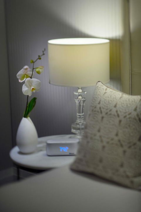 Mayfair Hotel - Accommodation Asia 13