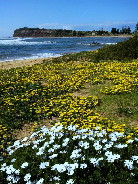 Serenity On Narrabeen Beach - 1Bdr Beachside Retreat - Accommodation Asia 10