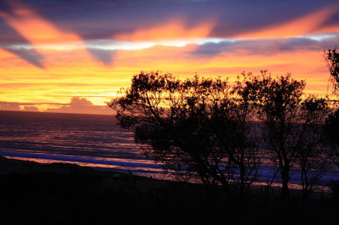 Serenity On Narrabeen Beach - 1Bdr Beachside Retreat - Accommodation Asia 1