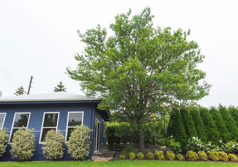 S T U D I O 22 Peaceful Retreat With Garden Views - Accommodation Asia 11