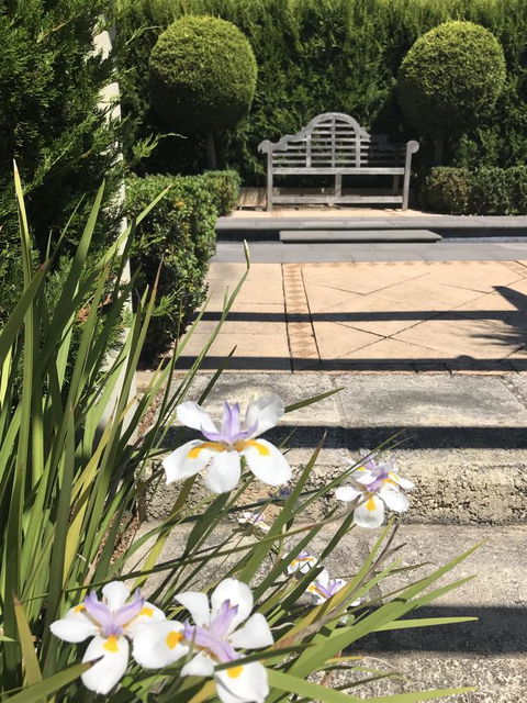 S T U D I O 22 Peaceful Retreat With Garden Views - Accommodation Asia 13