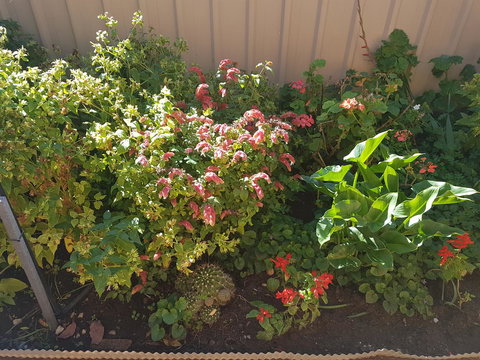 Tanunda\'s Magpie House - Accommodation Asia 24