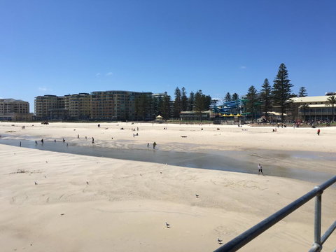 Luxury Beachside Accomodation - Accommodation Guide 27