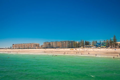 Luxury Beachside Accomodation - Accommodation Guide 15
