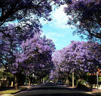 Monaco Court Apartment Adelaide - Accommodation Asia