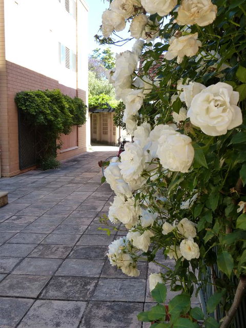 Monaco Court Apartment Adelaide - Accommodation Asia 19