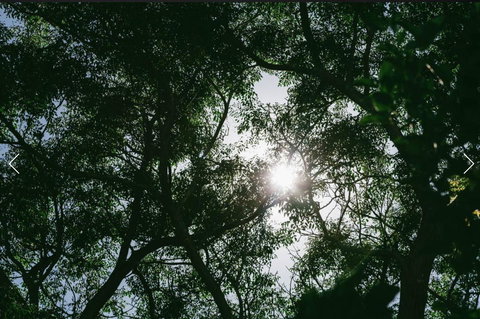 A Rose By The Park - Accommodation Asia 13