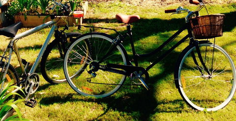 A Rose By The Park - Accommodation Asia 14