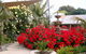 McLaren Vale Motel & Apartments - thumb 35
