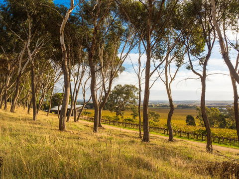 Shadow Creek McLaren Vale - Accommodation Asia 5