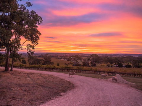 Shadow Creek McLaren Vale - Accommodation Asia 24