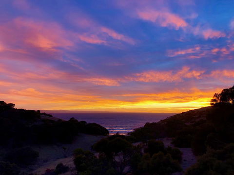 Sea Dragon Kangaroo Island - Accommodation Asia 14