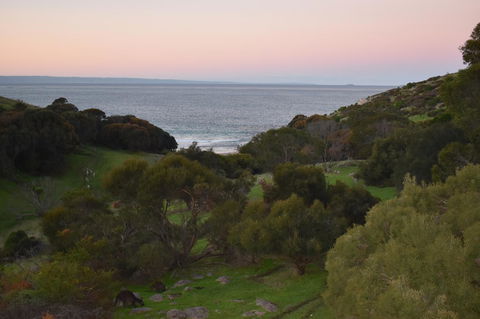 Sea Dragon Kangaroo Island - Accommodation Asia 30