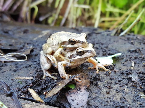 Coorong Waterfront Retreat - Accommodation China 30
