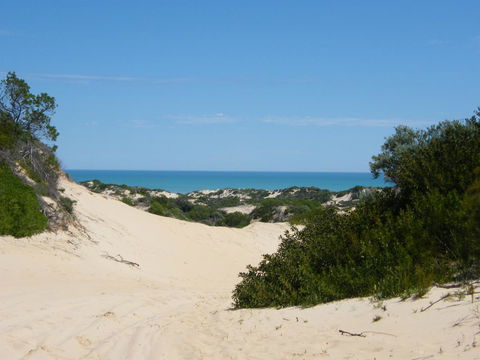 Coorong Waterfront Retreat - Accommodation China 23