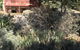 Kit Kat Cottage - Heritage Accommodation Burra - thumb 20