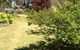 Kit Kat Cottage - Heritage Accommodation Burra - thumb 6