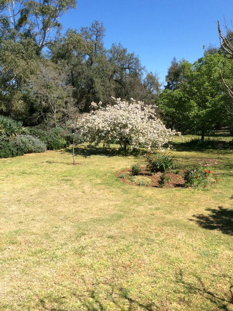 Kit Kat Cottage - Heritage Accommodation Burra - Accommodation Asia 5