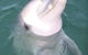 Discovery Parks - Whyalla Foreshore - thumb 18