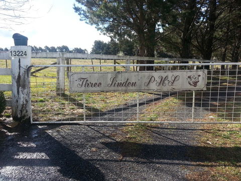Three Linden - Accommodation Asia 6