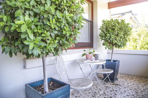 Mataro Cottage - Accommodation Asia 2
