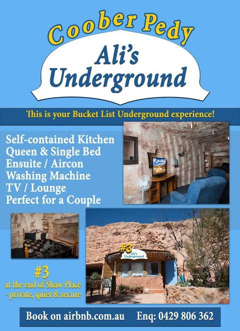 Ali\'s Underground Studio - Accommodation Asia 12