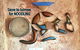 Ali\'s Underground Studio - thumb 3