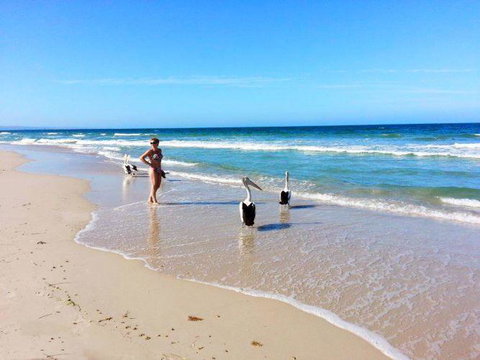 Atlantic West Beach Apartments - Accommodation Asia 22