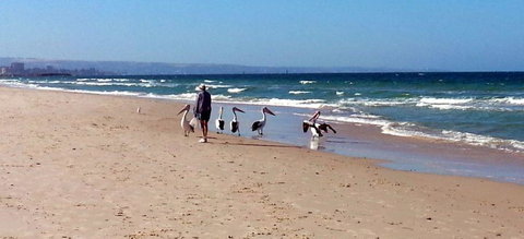 Atlantic West Beach Apartments - Accommodation Asia 20