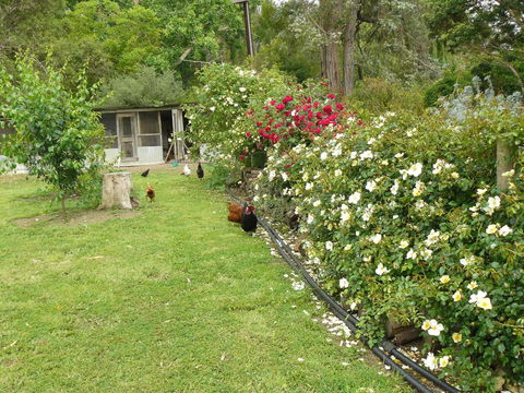 Camawald Coonawarra Cottage B&B - Accommodation Asia 3