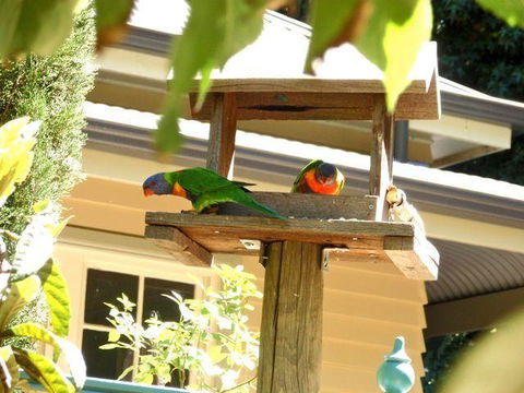 Aldgate Valley Bed And Breakfast - Accommodation Guide 42