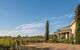 Barossa Shiraz Estate - thumb 13