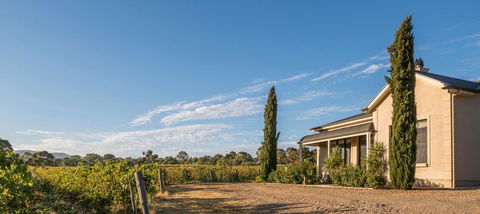 Barossa Shiraz Estate - Accommodation Asia 13