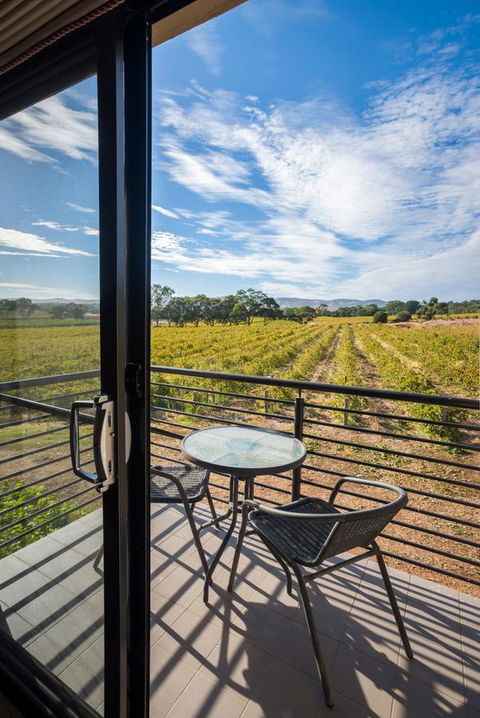 Barossa Shiraz Estate - Accommodation Asia 33