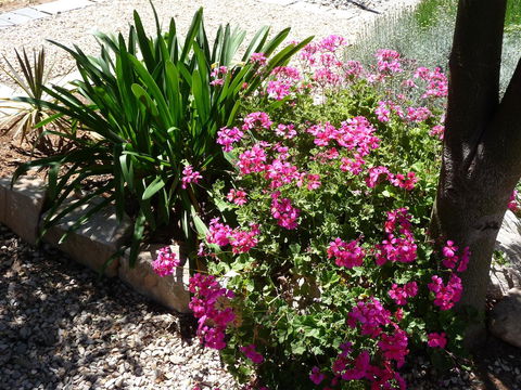 Country Bakehouse Accommodation - Accommodation Guide 18