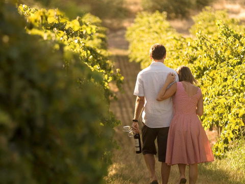 Novotel Barossa Valley Resort - Accommodation Asia 40