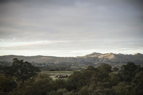 Novotel Barossa Valley Resort - Accommodation Asia 23