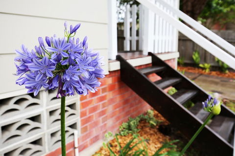 Hudson Bay @ Basin View-Pet Friendly-15 Mins To Hyams Beach - Accommodation Guide 38