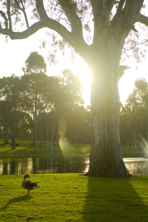 Serafino McLaren Vale - Accommodation Asia 15