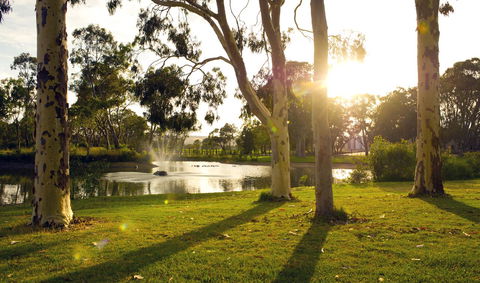 Serafino McLaren Vale - Accommodation Asia 14