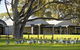 Serafino McLaren Vale - thumb 0