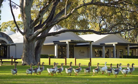 Serafino McLaren Vale - Accommodation Asia 0