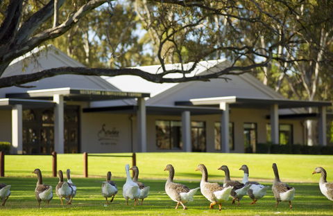 Serafino McLaren Vale - Accommodation Asia 17