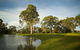 Serafino McLaren Vale - thumb 16