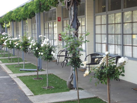 Guichen Bay Motel - Accommodation Asia 38