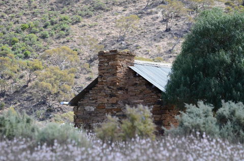 Burra Motor Inn - Accommodation Asia 36