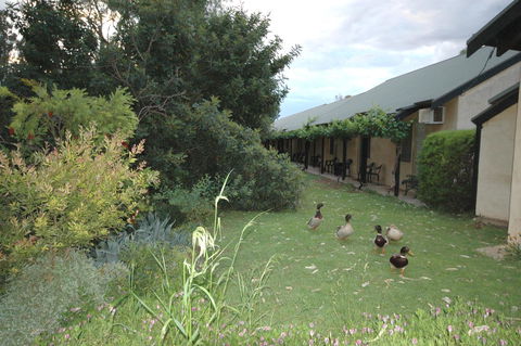 Burra Motor Inn - Accommodation Asia 24