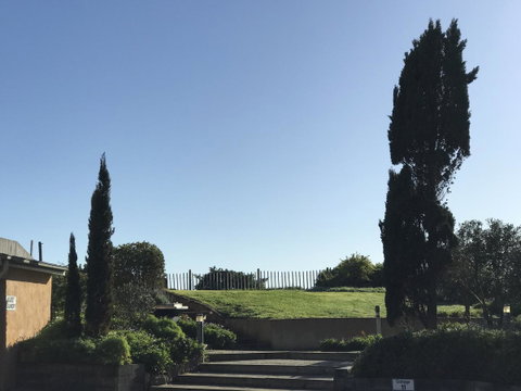 Caledonian Inn - Accommodation Guide 24
