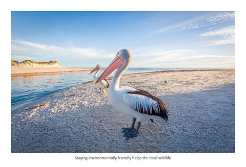 Adelaide Luxury Beach House - Accommodation Asia 25